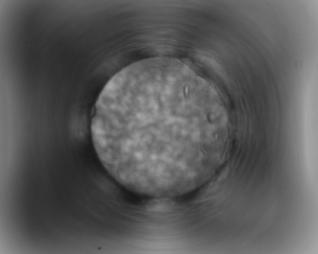 X0000089730077200707201850