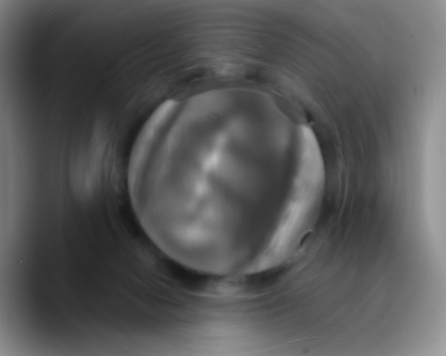 X0000089730078200707201850