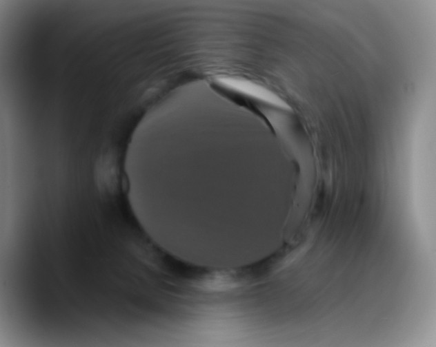 X0000089730080200707201850