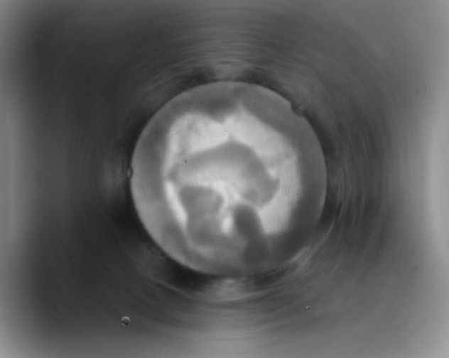X0000089730082200707201850