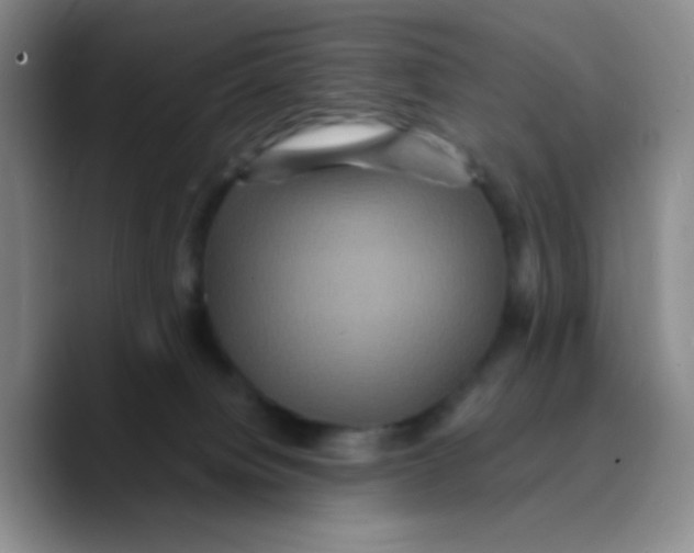 X0000089730084200707201850