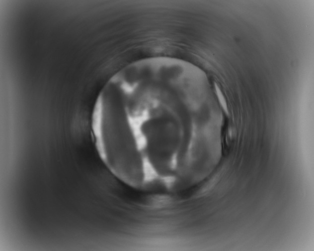 X0000089730085200707201850
