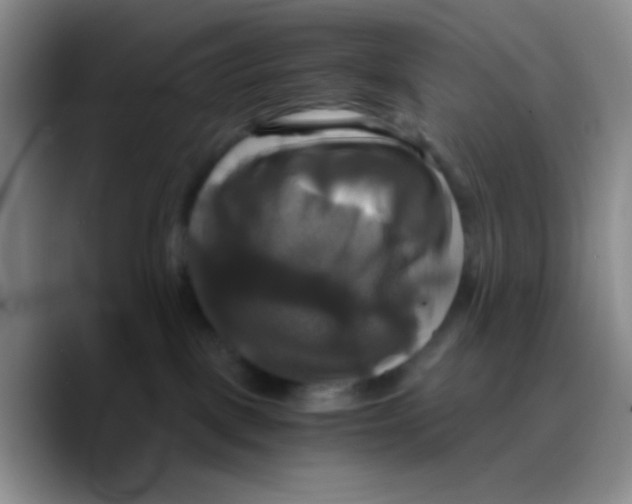 X0000089730093200707201850