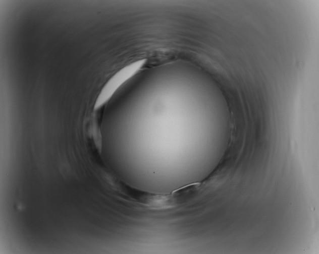 X0000089730096200707201850