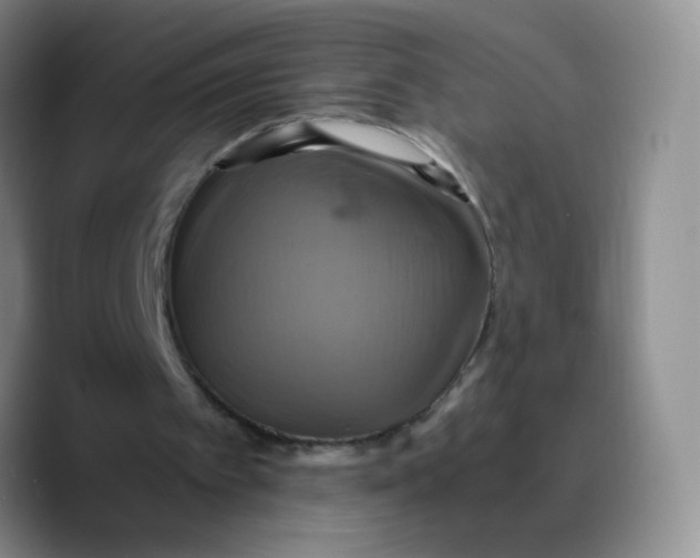 X0000089730097200707201849