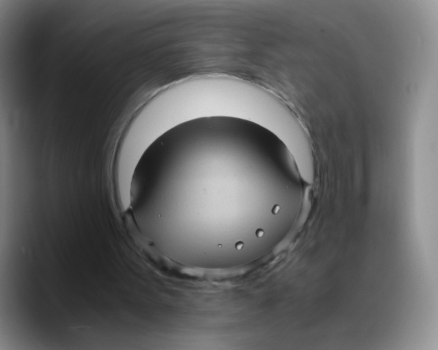 X0000089730099200707201849