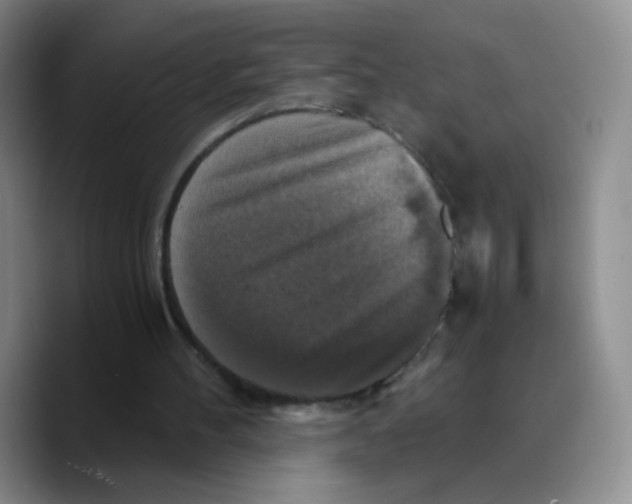 X0000089730100200707201849