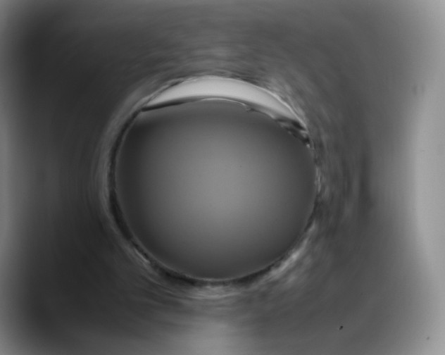 X0000089730101200707201849