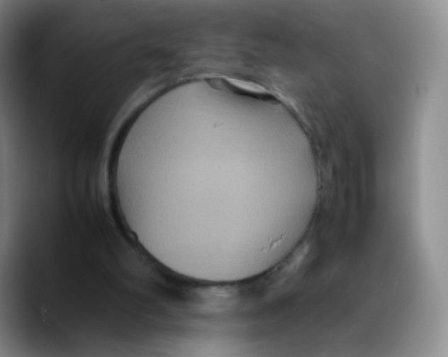 X0000089730102200707201849