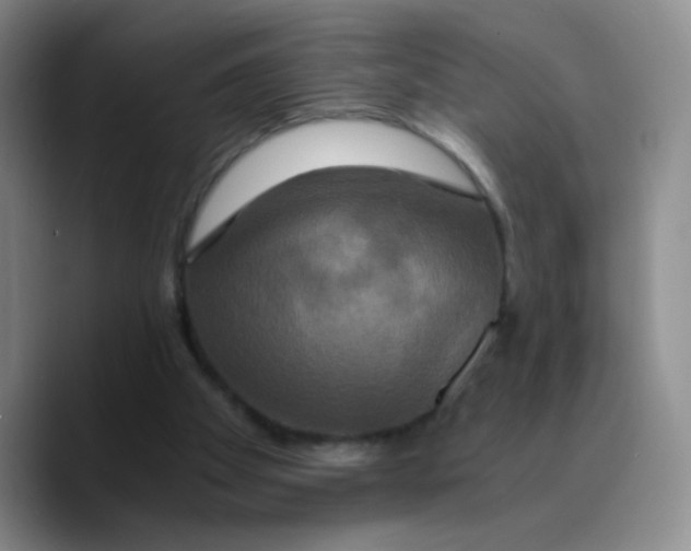 X0000089730105200707201849