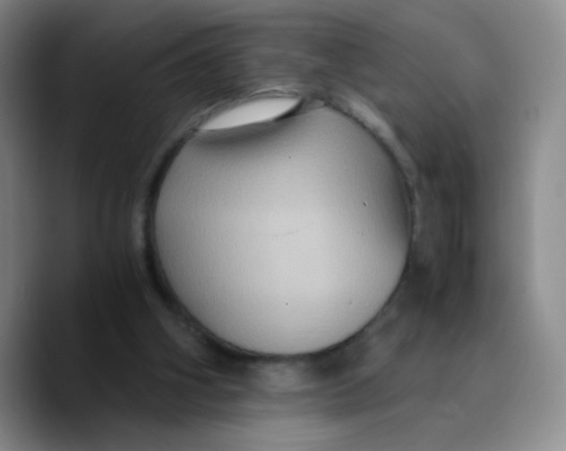 X0000089730106200707201849