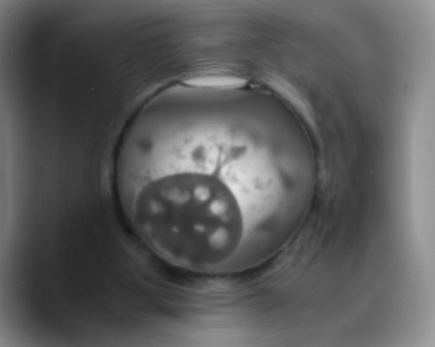 X0000089730107200707201849