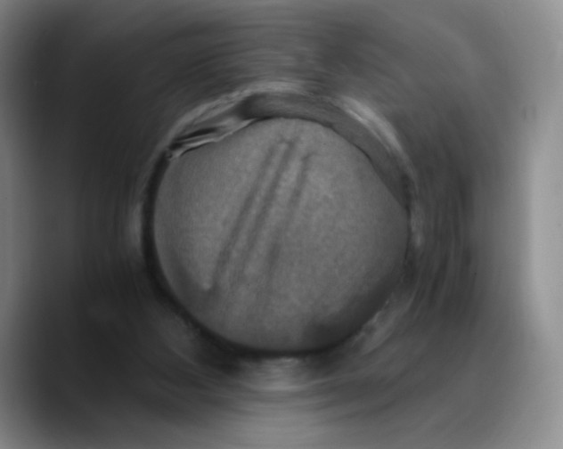 X0000089730108200707201849