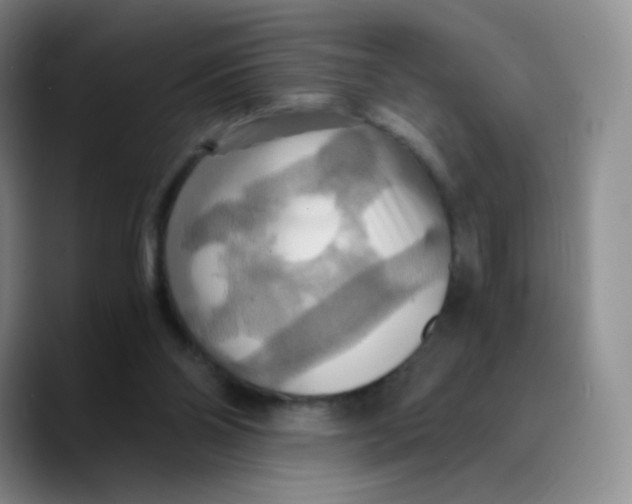 X0000089730110200707201849