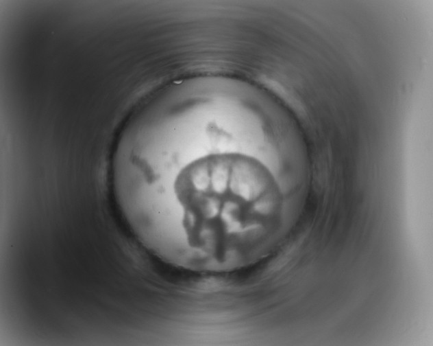 X0000089730111200707201849