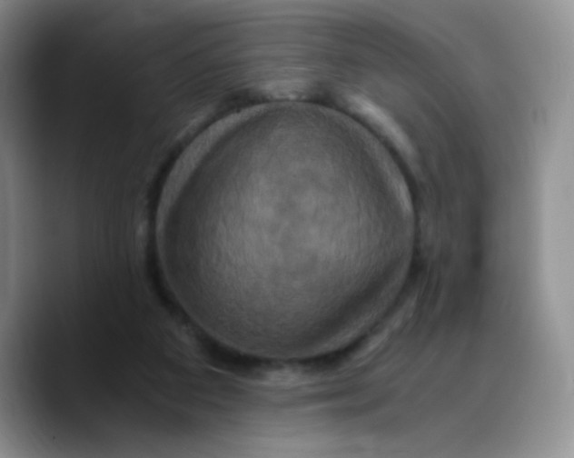 X0000089730113200707201849
