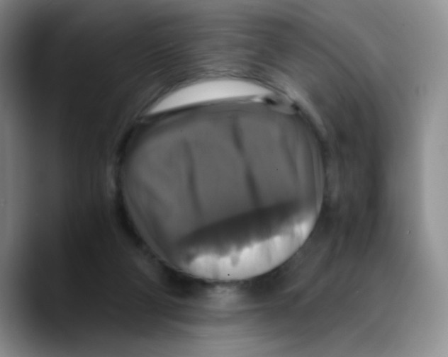 X0000089730114200707201849