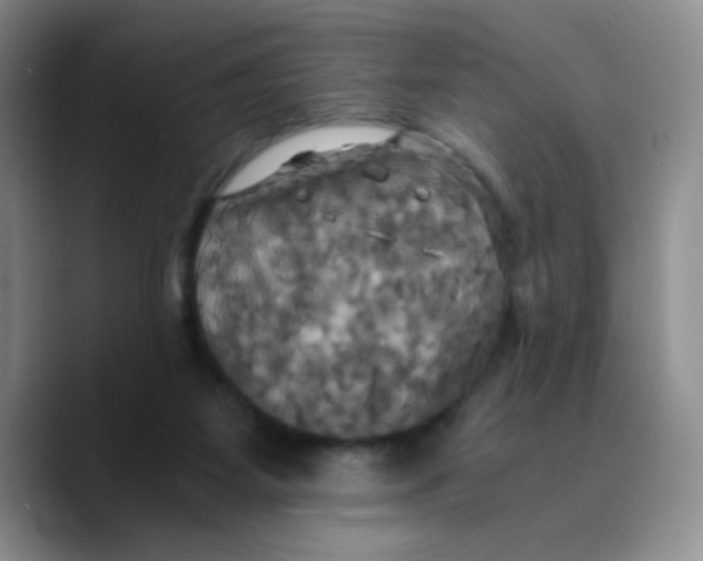 X0000089730115200707201849