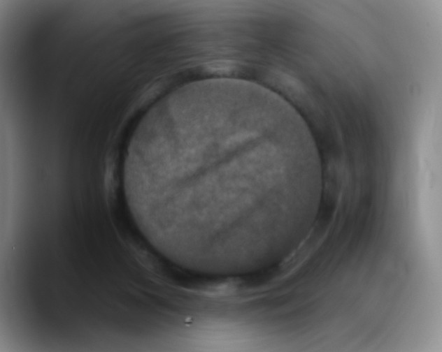 X0000089730116200707201849