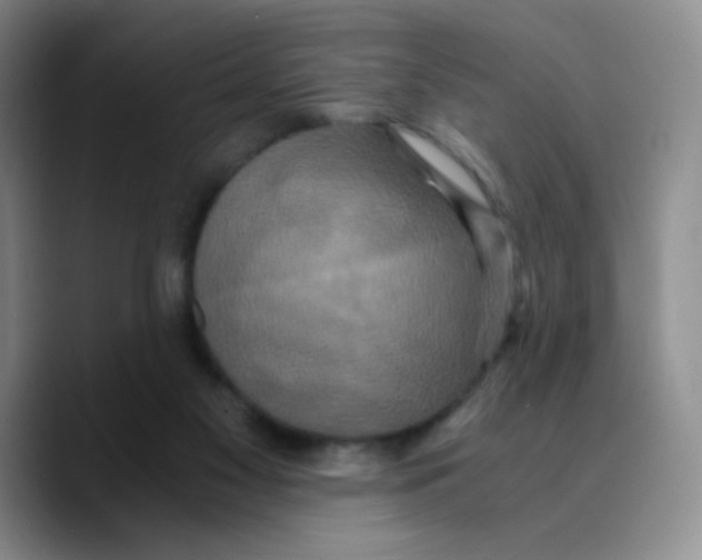 X0000089730117200707201849