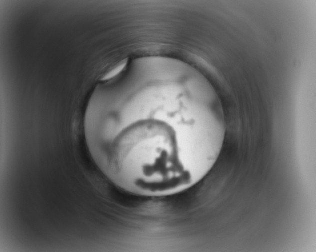 X0000089730119200707201849