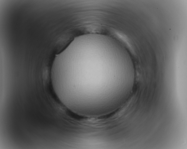 X0000089730121200707201849