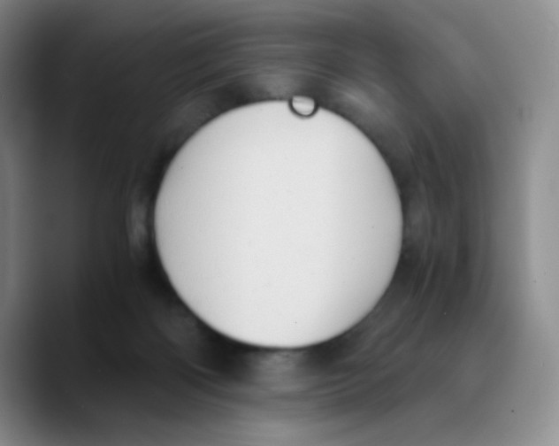 X0000089730122200707201849
