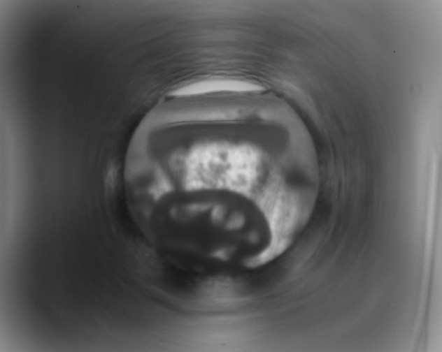 X0000089730123200707201849