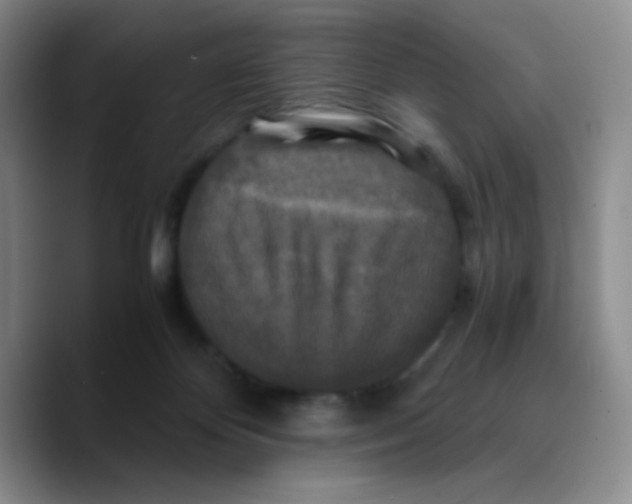 X0000089730124200707201849