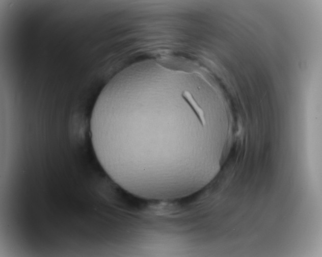 X0000089730125200707201849