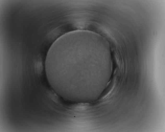 X0000089730128200707201849