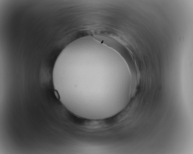 X0000089730129200707201849