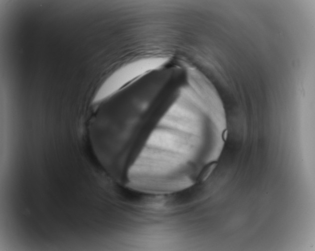 X0000089730131200707201849