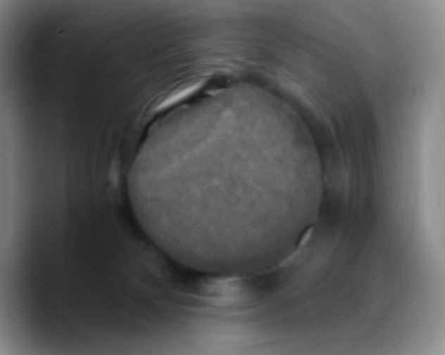 X0000089730132200707201849