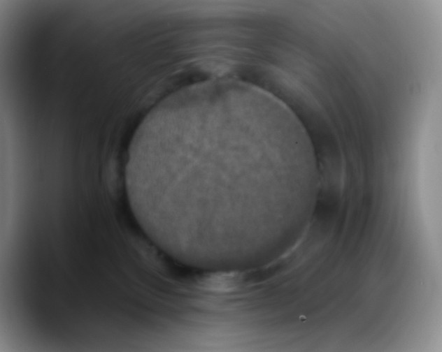 X0000089730136200707201849