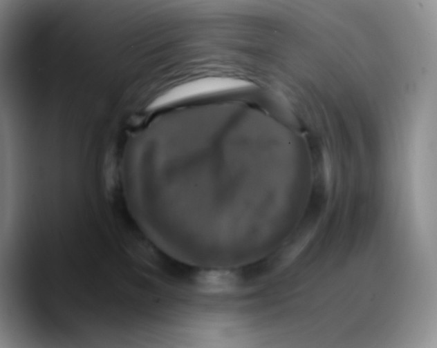 X0000089730137200707201849