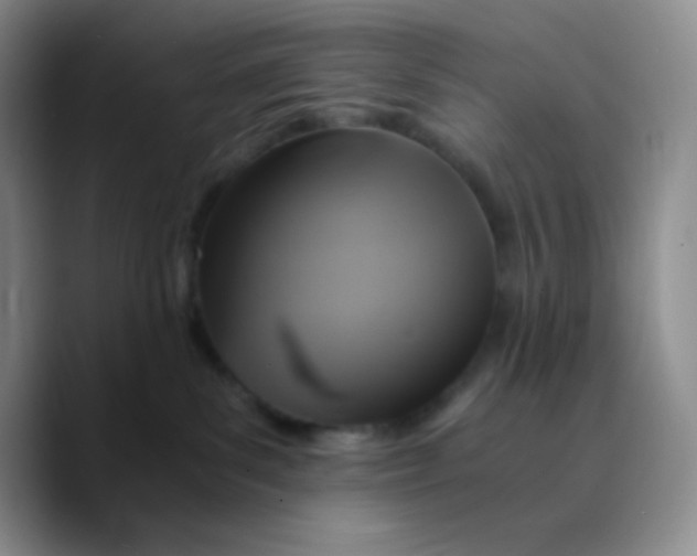 X0000089730139200707201849