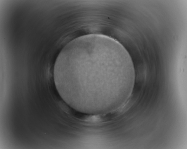 X0000089730140200707201849