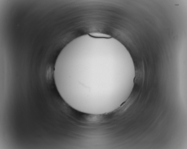 X0000089730142200707201849