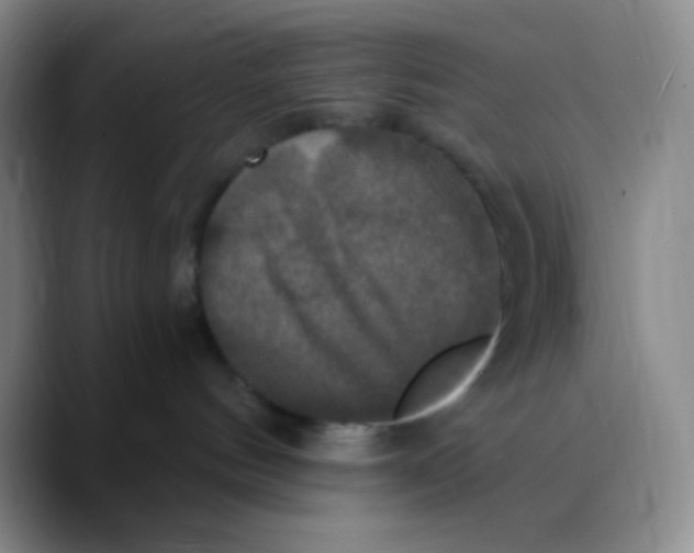 X0000089730144200707201849