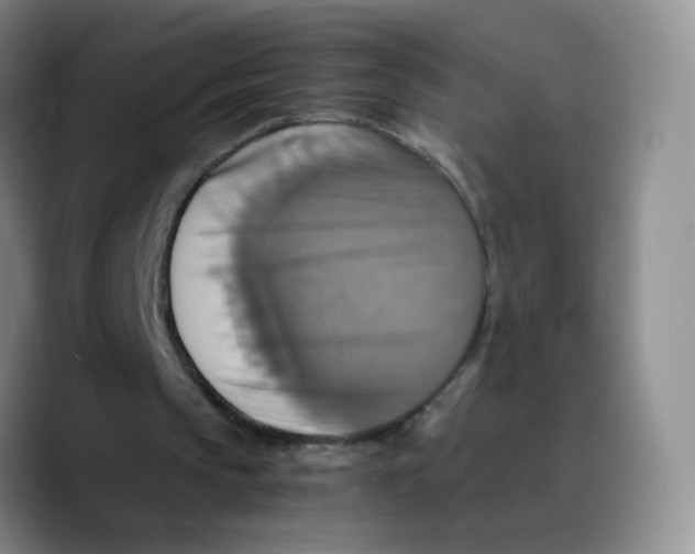 X0000089730145200707201848