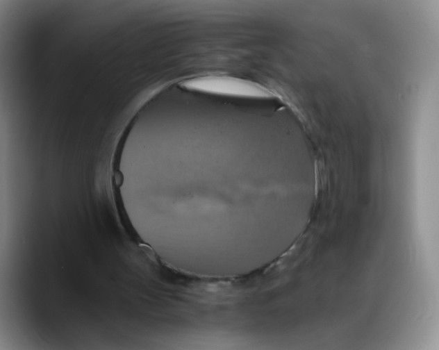 X0000089730147200707201848