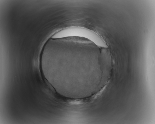 X0000089730148200707201848