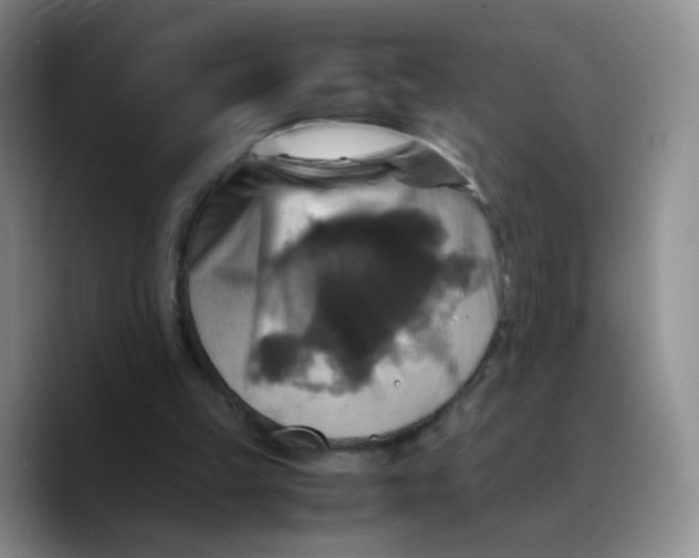 X0000089730149200707201848