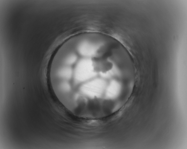 X0000089730151200707201848