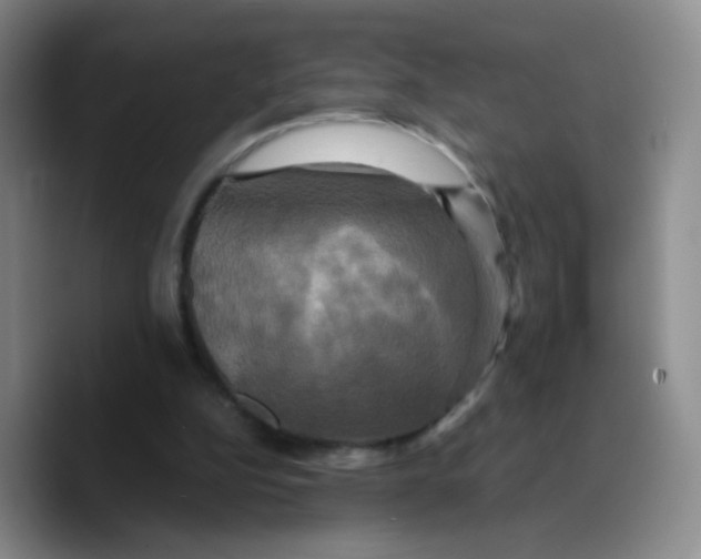 X0000089730152200707201848