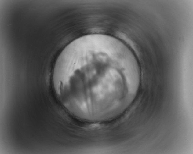 X0000089730153200707201848