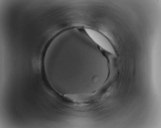 X0000089730156200707201848