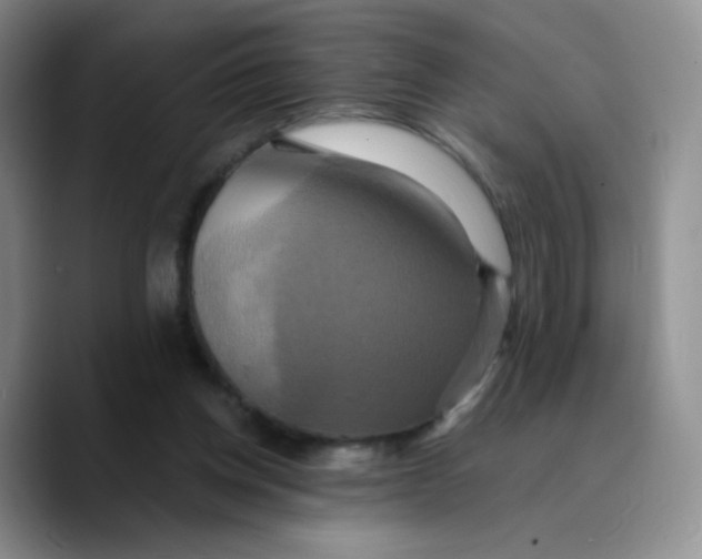 X0000089730158200707201848