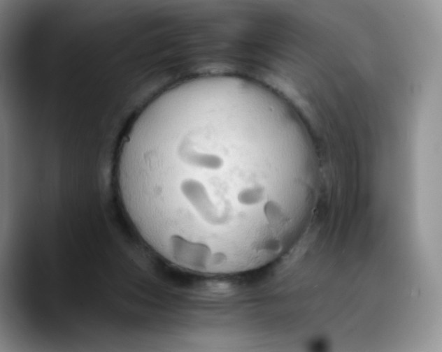 X0000089730159200707201848